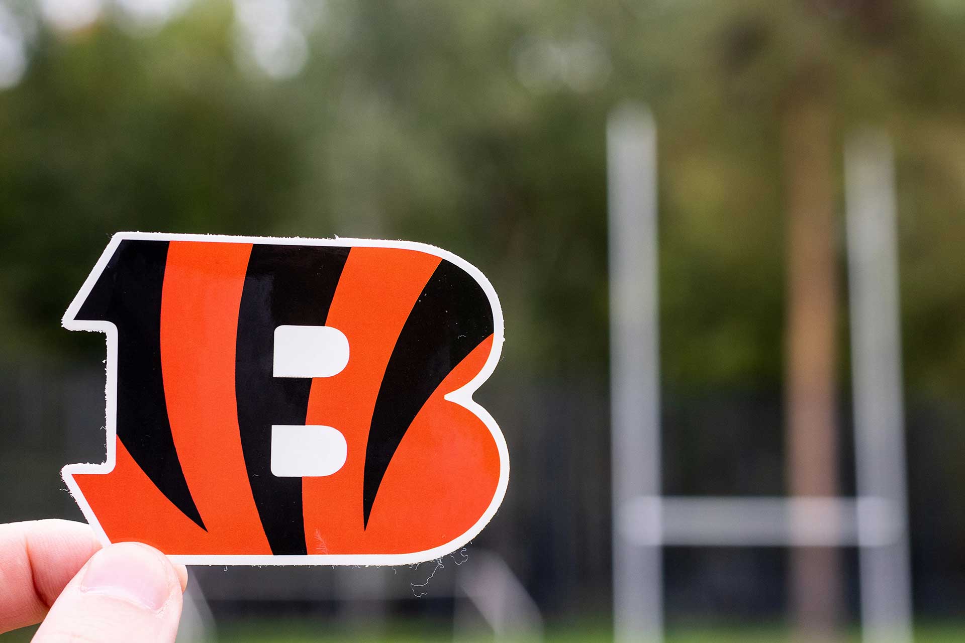 Cincinnati Bengals add Mike Pennel