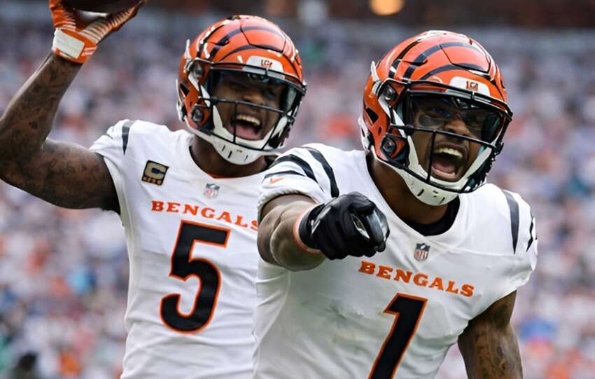 Cincinnati Bengals vs. Miami Dolphins Touchdown Celebration