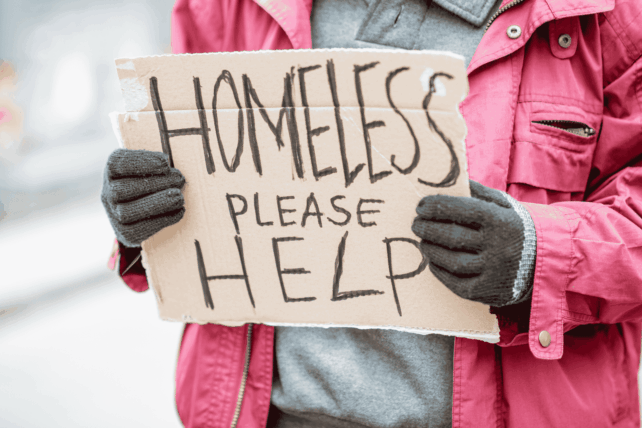 Person wearing a pink winter coat and gloves holding a handwritten cardboard sign that reads "HOMELESS PLEASE HELP."