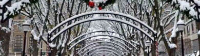 Snow covered pedestrian walkway in Cincinnati featuring arched trellises with holiday wreaths and snow dusted benches.