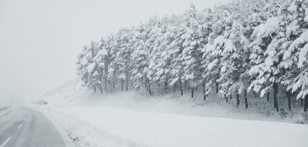 A photo illustrating a snow-covered road lined with frosted trees in Greater Cincinnati following record-breaking snowfall on December 2.