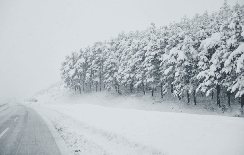 A photo illustrating a snow-covered road lined with frosted trees in Greater Cincinnati following record-breaking snowfall on December 2.