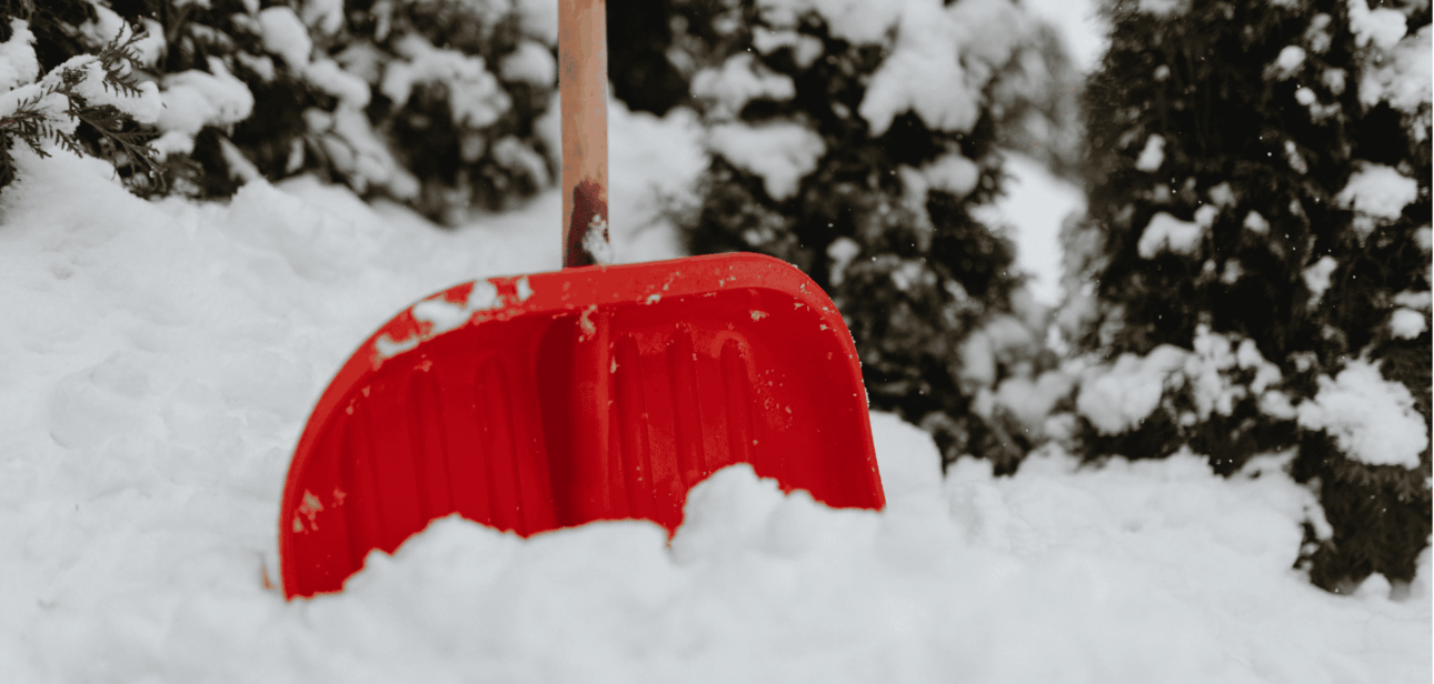 Red snow shovel stuck in a pile of deep, fresh snow with snow-covered evergreen trees in the background.
