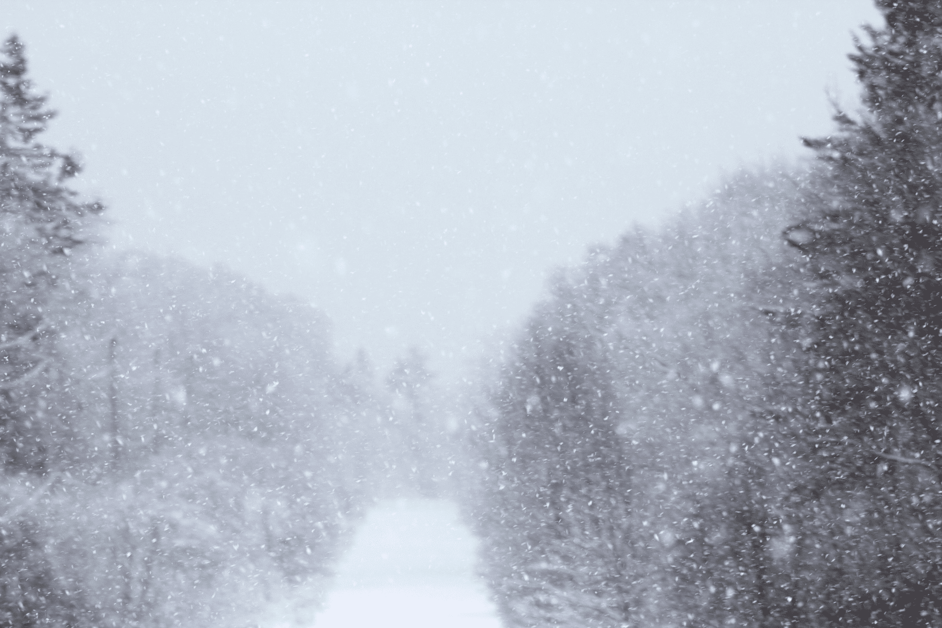 A snow-covered road that represents hazardous driving conditions during the Level 2 snow emergency in Hamilton County, Ohio.