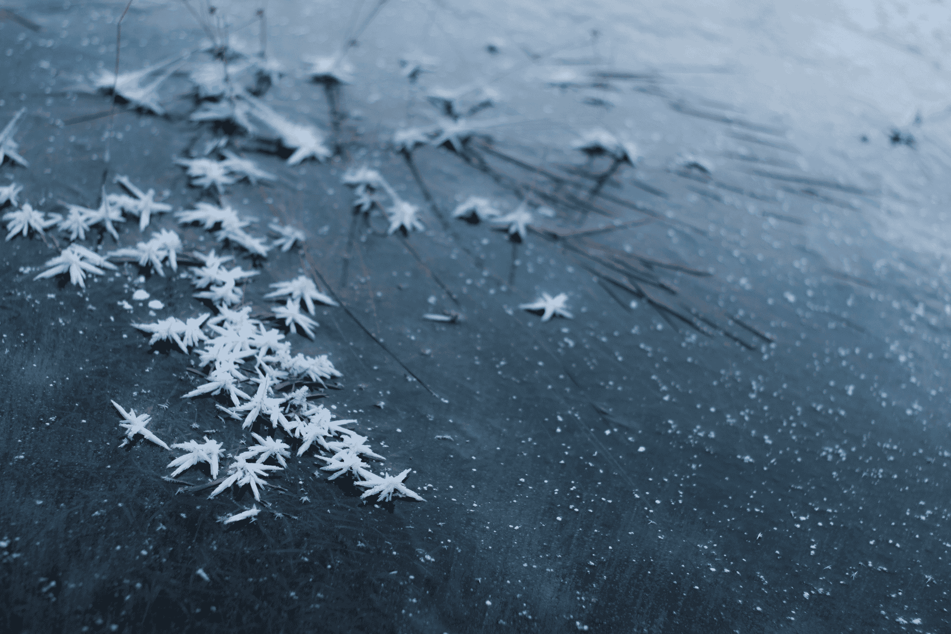 Frozen surface that illustrates of the lake at VOA MetroPark in West Chester during a water rescue search operation.