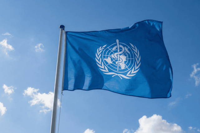 World Health Organization flag flying outside WHO headquarters amid U.S. exit announcement