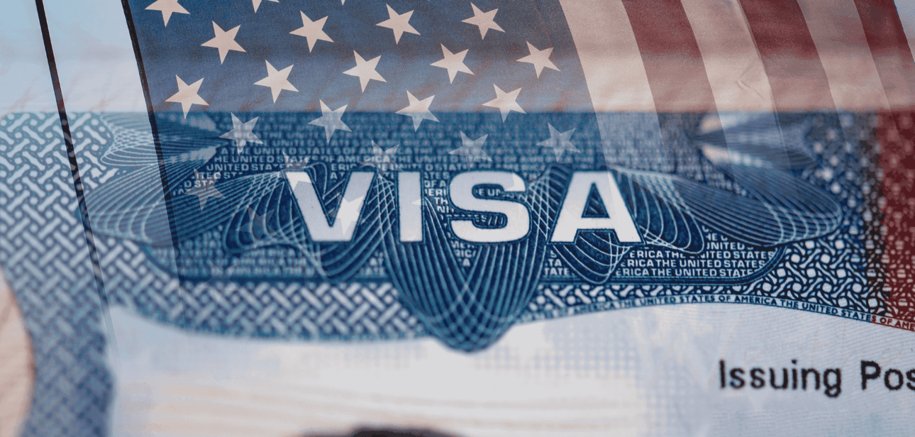 US visa revocations