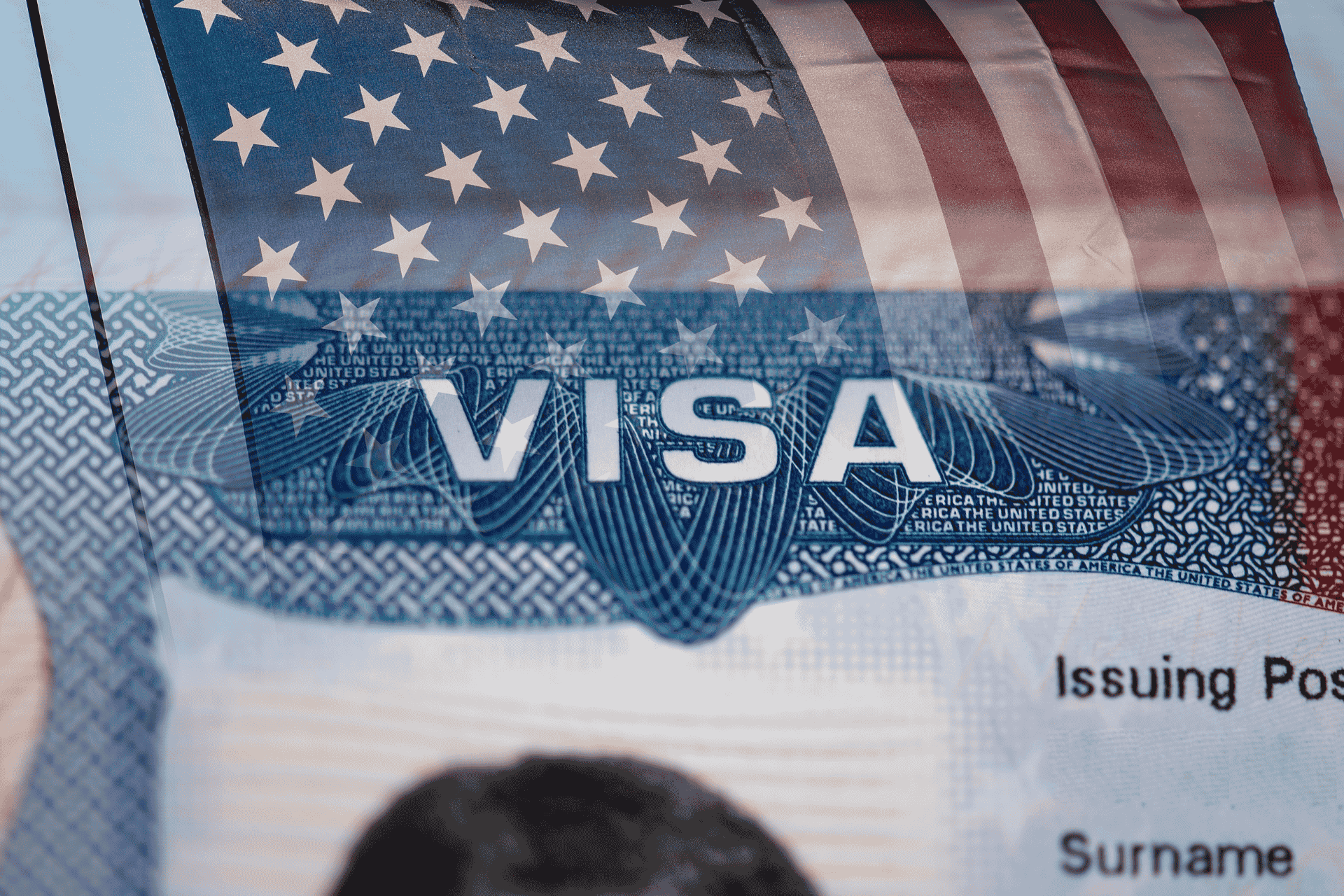 US visa revocations