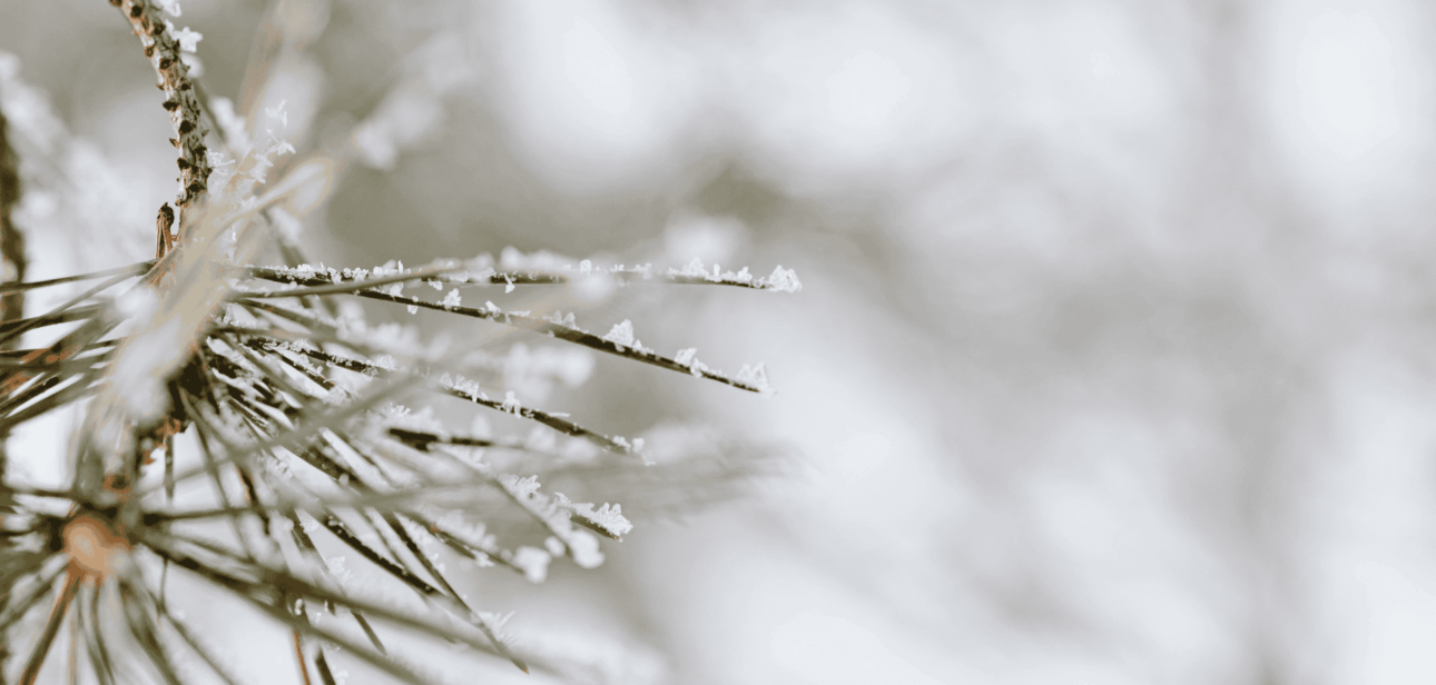 Cincinnati weather forecast