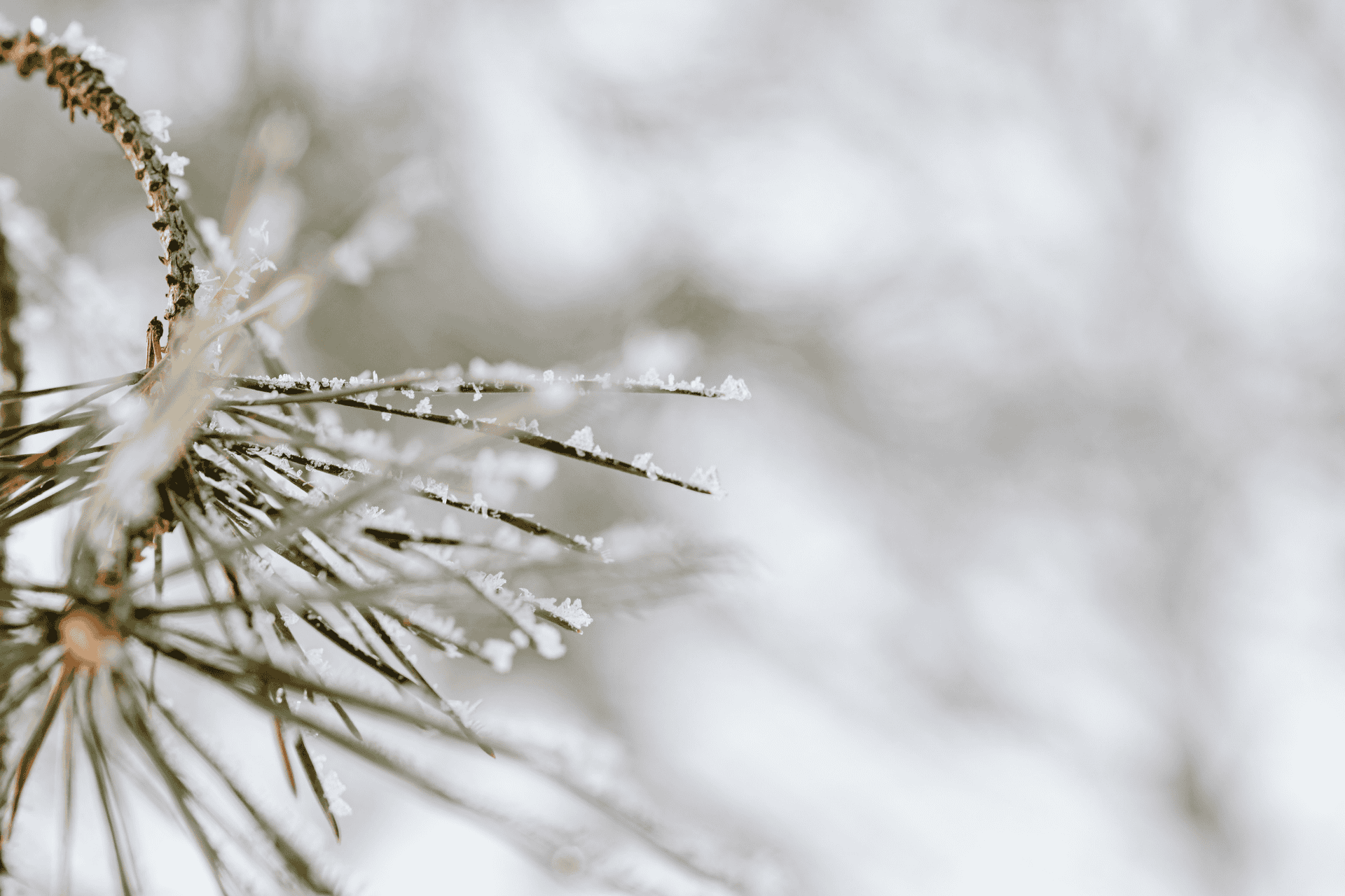 Cincinnati weather forecast