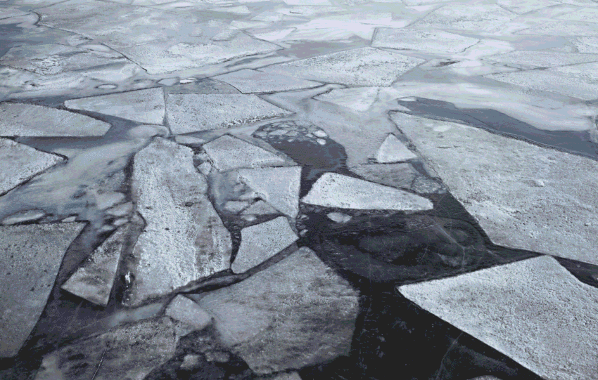 Alt Text: Large ice floes floating on the surface of the Ohio River in Cincinnati during the recovery of a submerged SUV.
