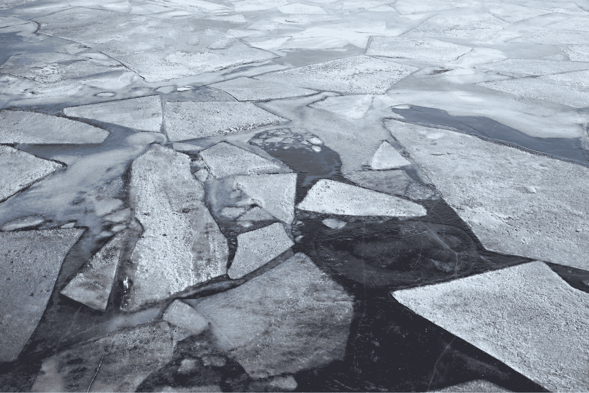 Alt Text: Large ice floes floating on the surface of the Ohio River in Cincinnati during the recovery of a submerged SUV.