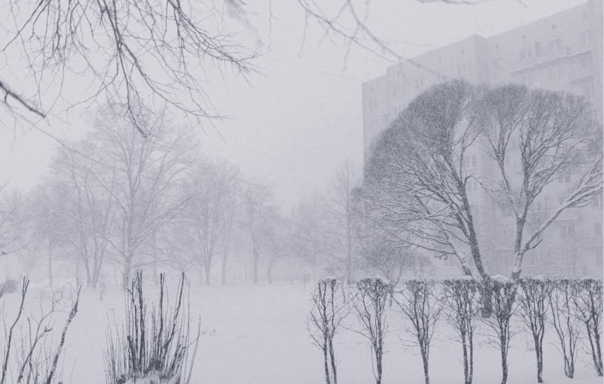 A snowy winter scene in Cincinnati featuring snow-covered trees and buildings during a weekend weather forecast.