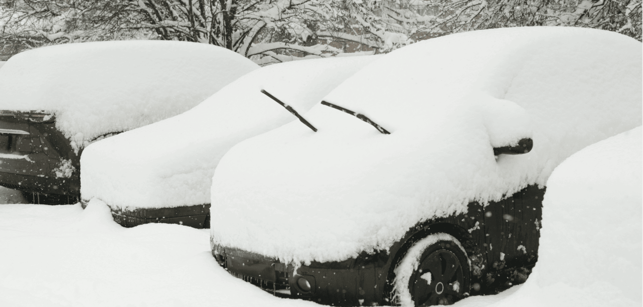 winter storm flight cancellations