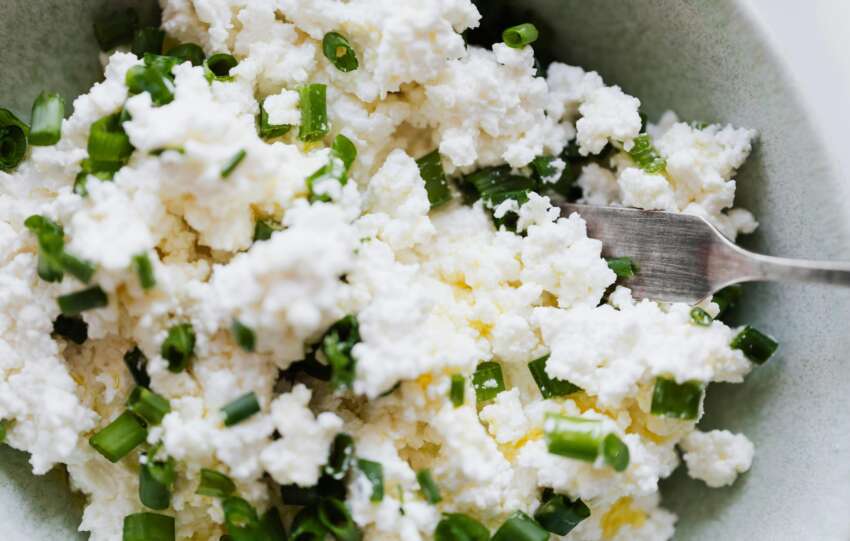 cottage cheese recall