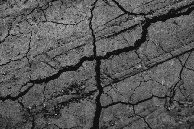 Black and white close-up of deeply cracked ground, illustrating seismic damage from the Highland County earthquake.