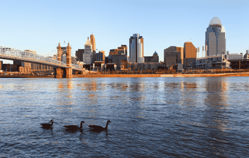 Canada geese swimming in the Ohio River with the Roebling Suspension Bridge and Cincinnati skyline in the background. Text overlay reads: "Climate change drives Ohio River flood risk concerns in Cincinnati."