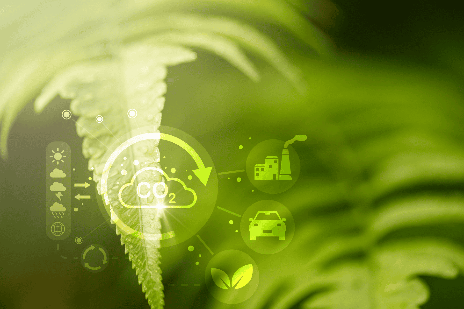 A close-up of a green fern leaf with a digital overlay of white sustainability icons—including a CO2 cloud, factory, and electric car—illustrating the Greater Cincinnati Regional Climate Plan.