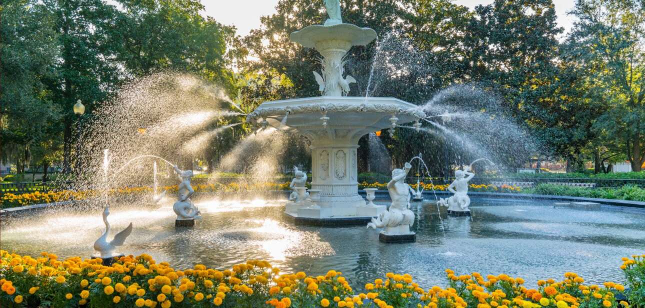 Bright yellow blossoms in Forsyth Park in Savannah during early spring