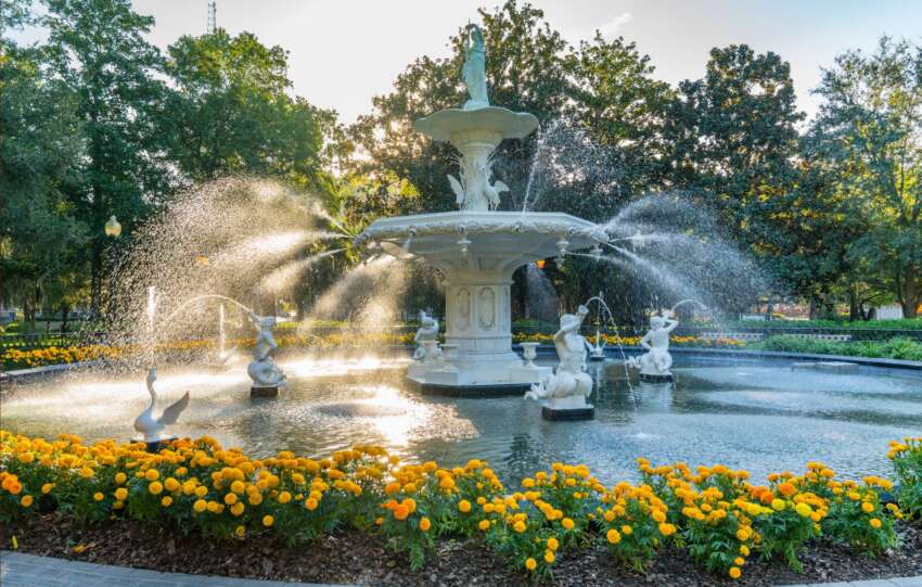 Bright yellow blossoms in Forsyth Park in Savannah during early spring