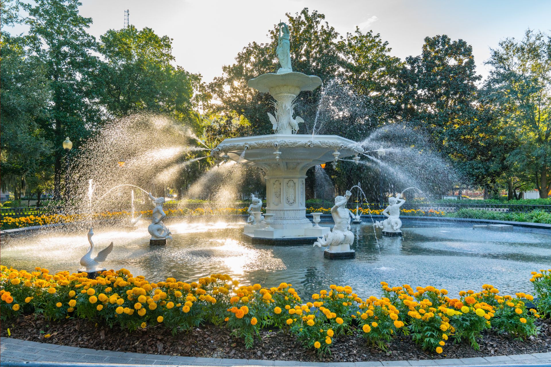 Bright yellow blossoms in Forsyth Park in Savannah during early spring