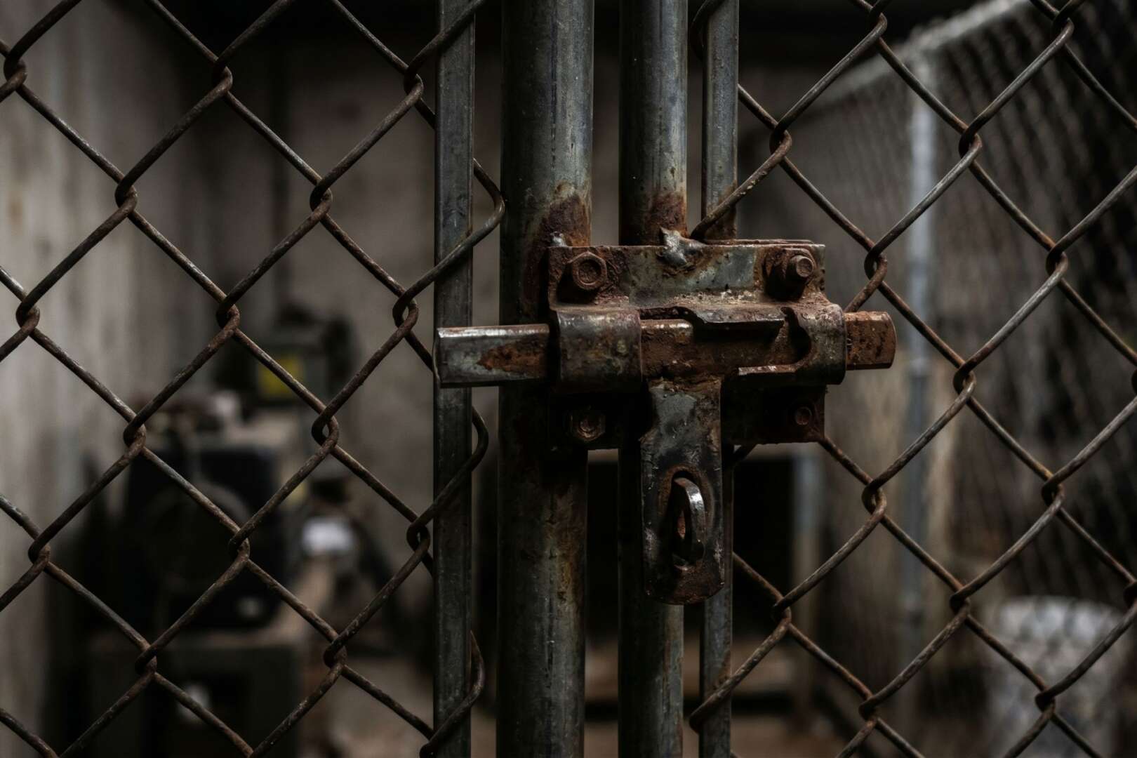 Close-up of a rusted metal latch on a chain-link dog enclosure, relating to the recent Cincinnati pit bull attack sentencing.