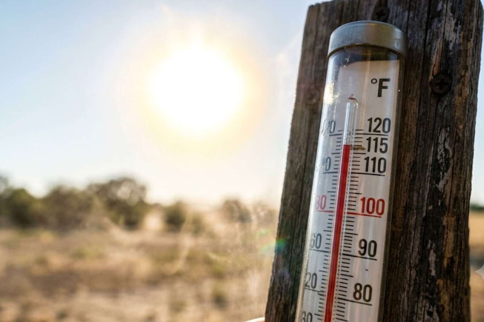 An outdoor thermometer displaying a high temperature under a blazing sun, illustrating extreme heat.