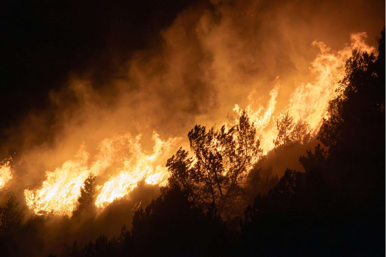 Intense orange flames from a raging wildfire engulfing a forest at night with thick smoke billowing into the sky.