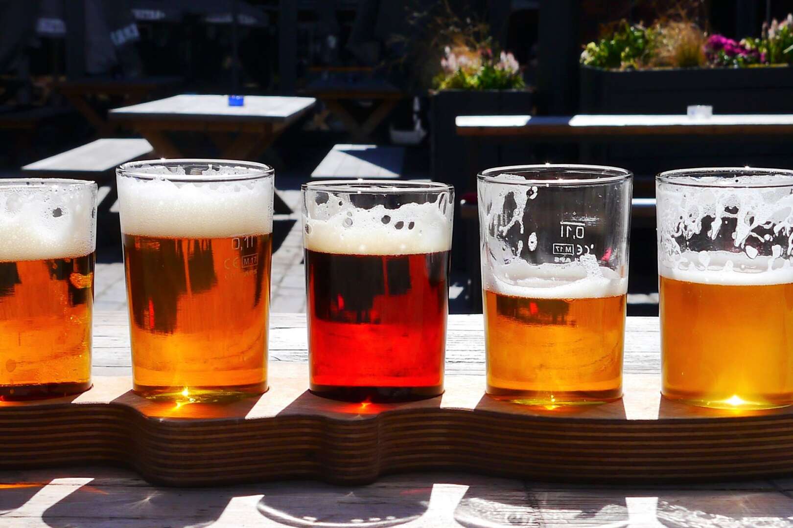 A wooden flight board holding five tasting glasses of various craft beers, ranging from light to amber, sitting outdoors in the sunlight.