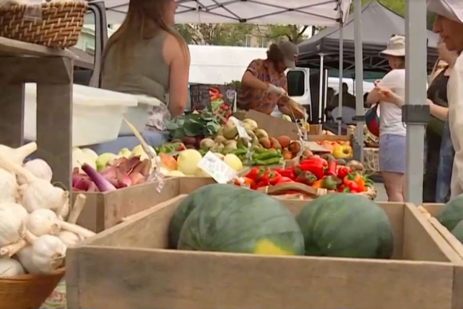 Fresh produce including watermelons, garlic, and peppers displayed in wooden crates at an outdoor farmers market stall.