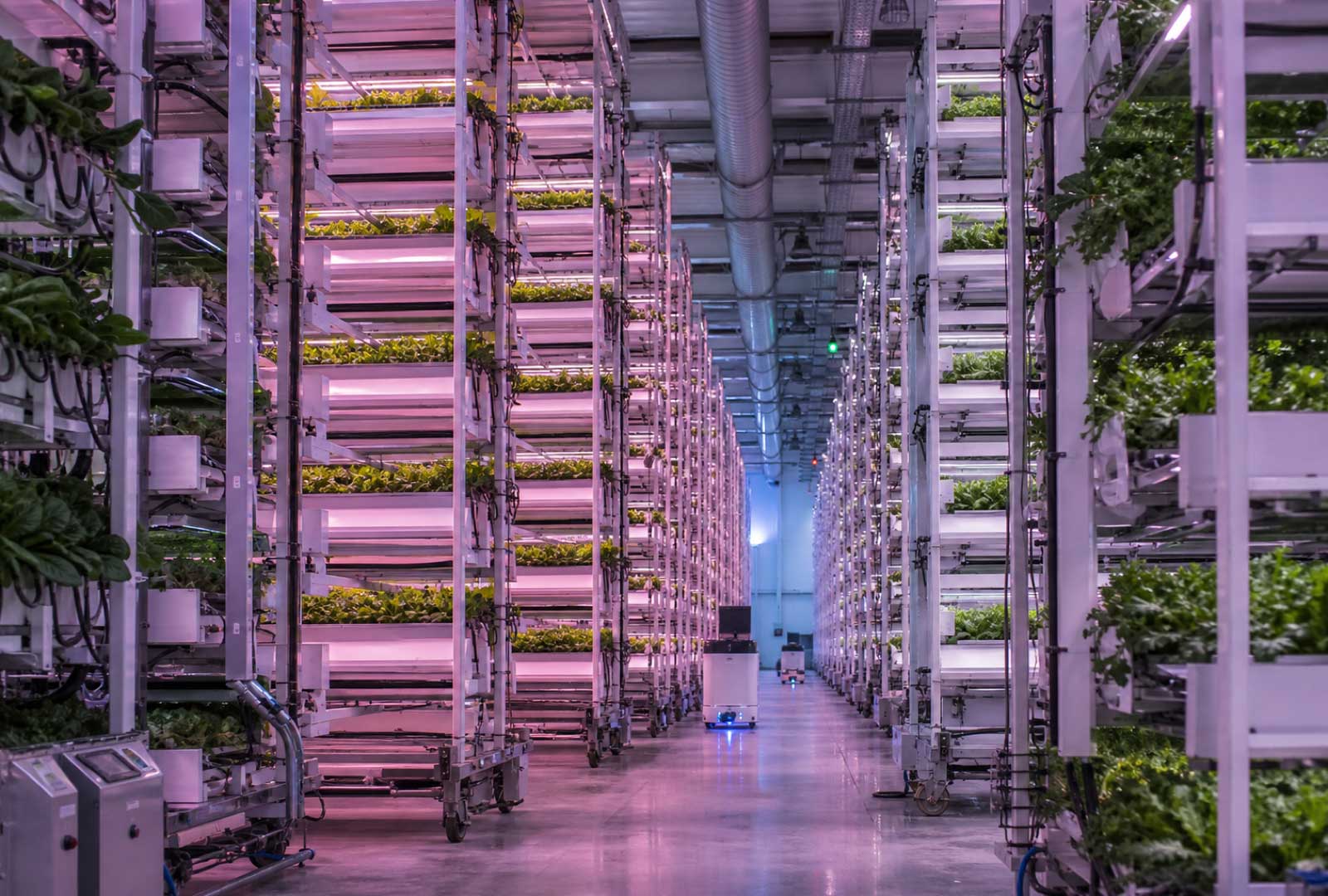 An illustration of an 80 Acres Farms Hamilton, Ohio-style vertical farming facility with stacked hydroponic greens and LED lights.