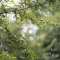 Cincinnati severe weather threat may disrupt weekend events