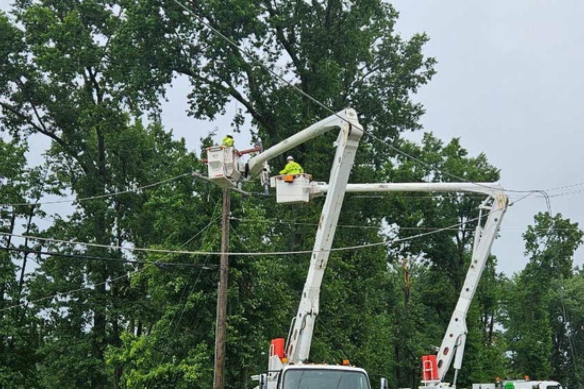 Utility workers in an elevated bucket truck repairing overhead power lines amidst heavy tree coverage.
