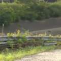Mill Creek crash kills four as survivor’s mother recounts escape