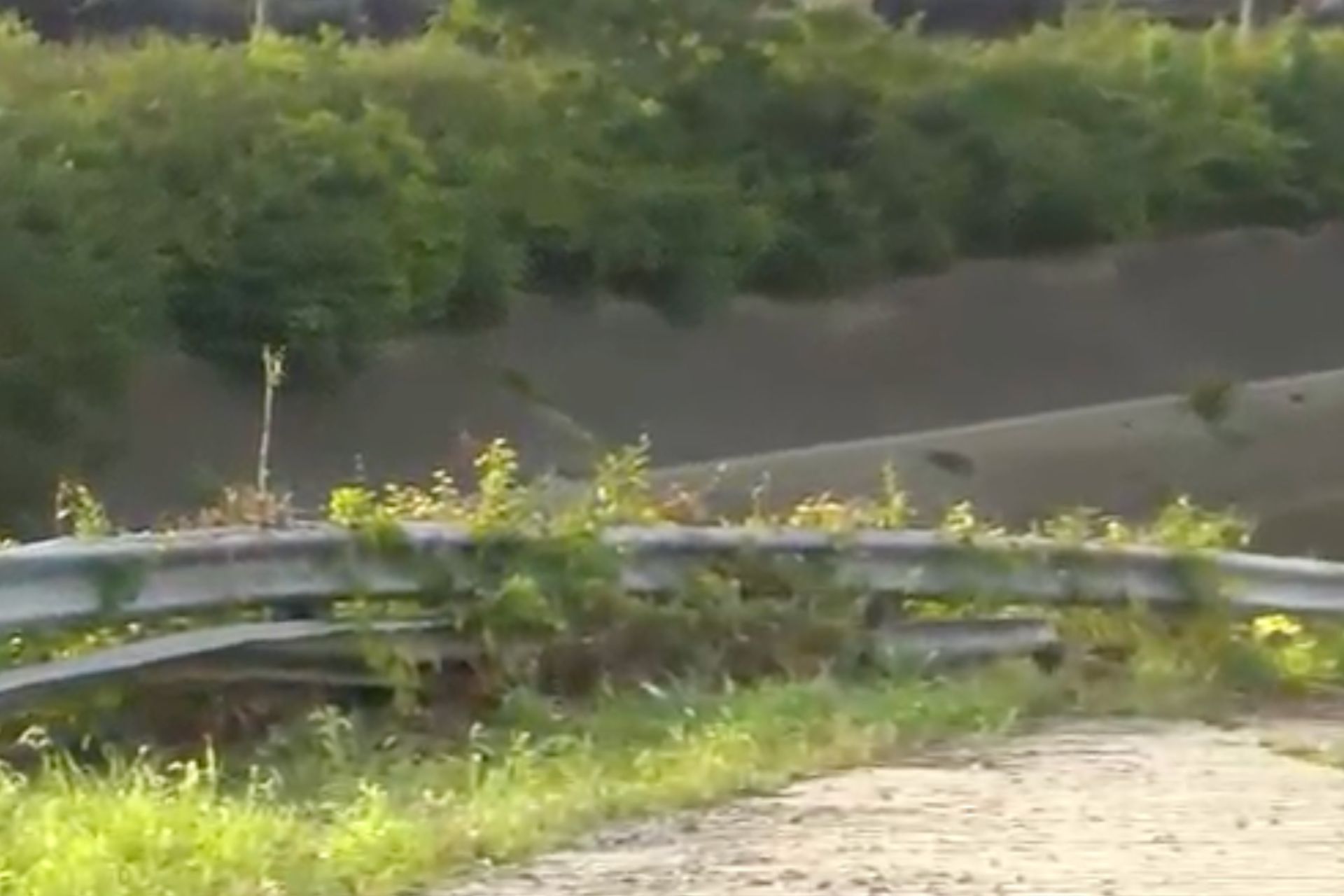 Damaged guardrail and overgrown roadside embankment at the site of a vehicle crash in the Mill Creek area of Cincinnati.