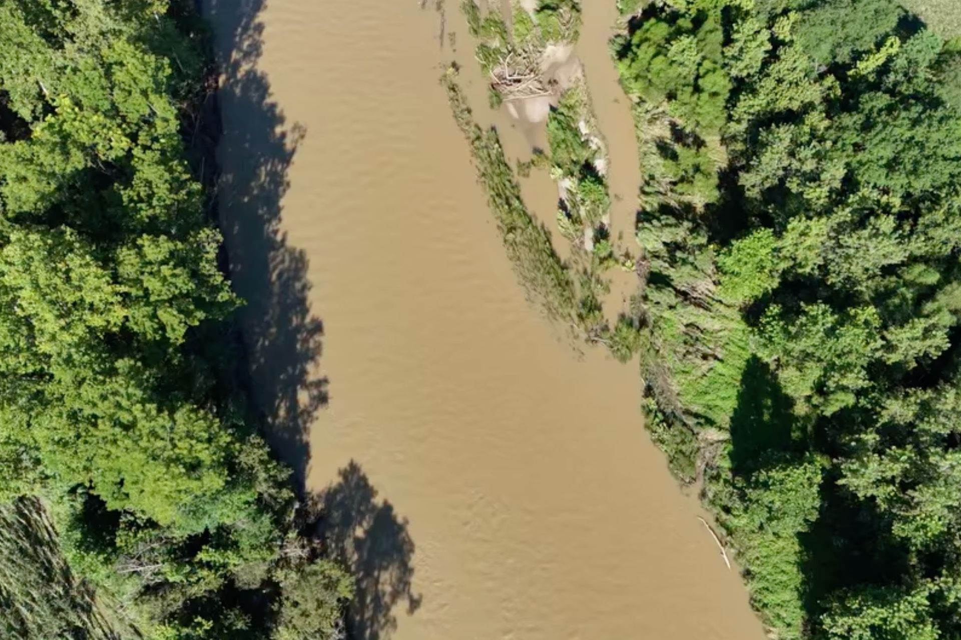 Aerial view of murky, discolored water flowing through a river surrounded by dense green trees.
