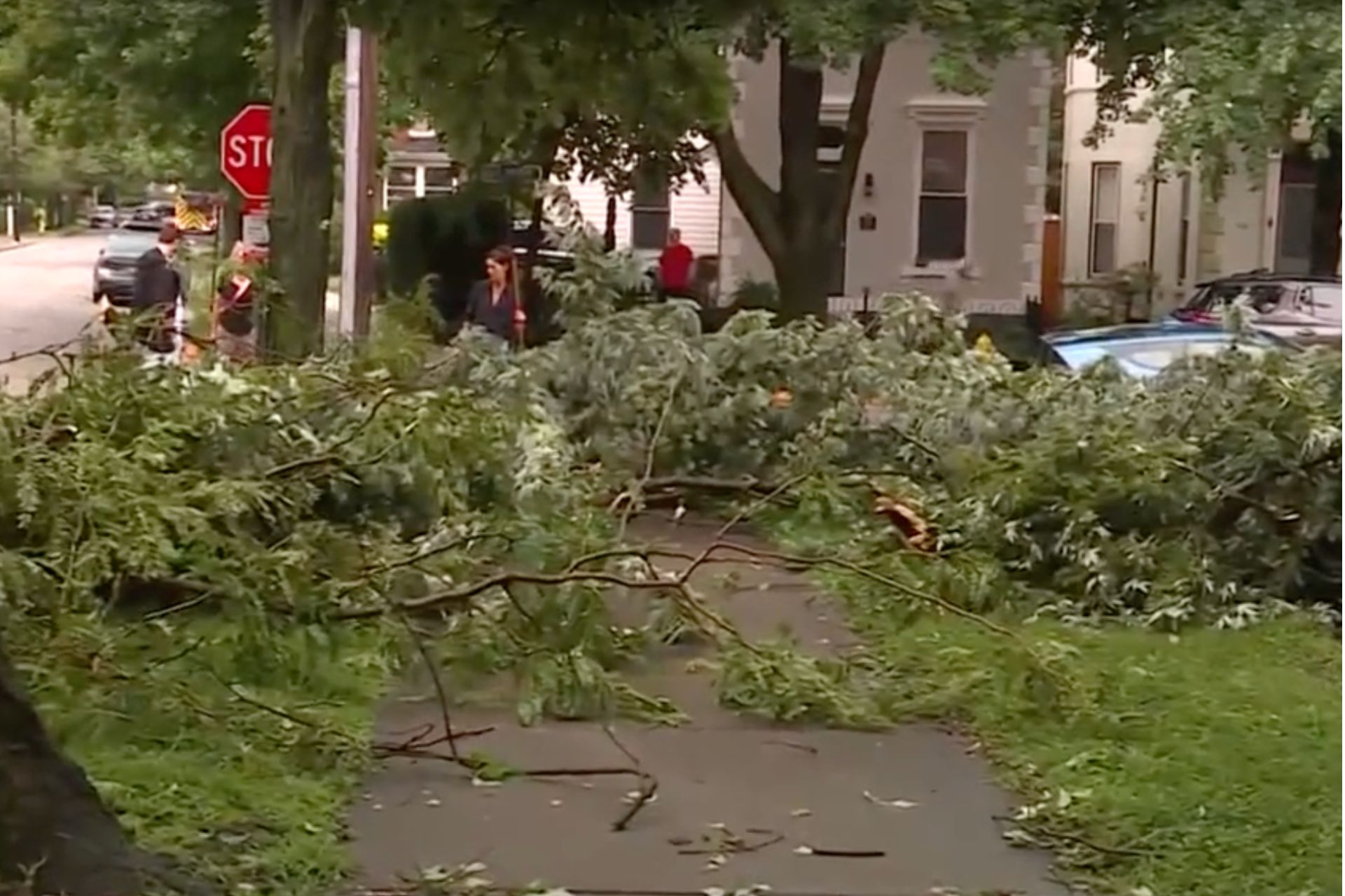 Fallen tree branches and storm debris blocking a residential street sidewalk in Cincinnati following severe weather.