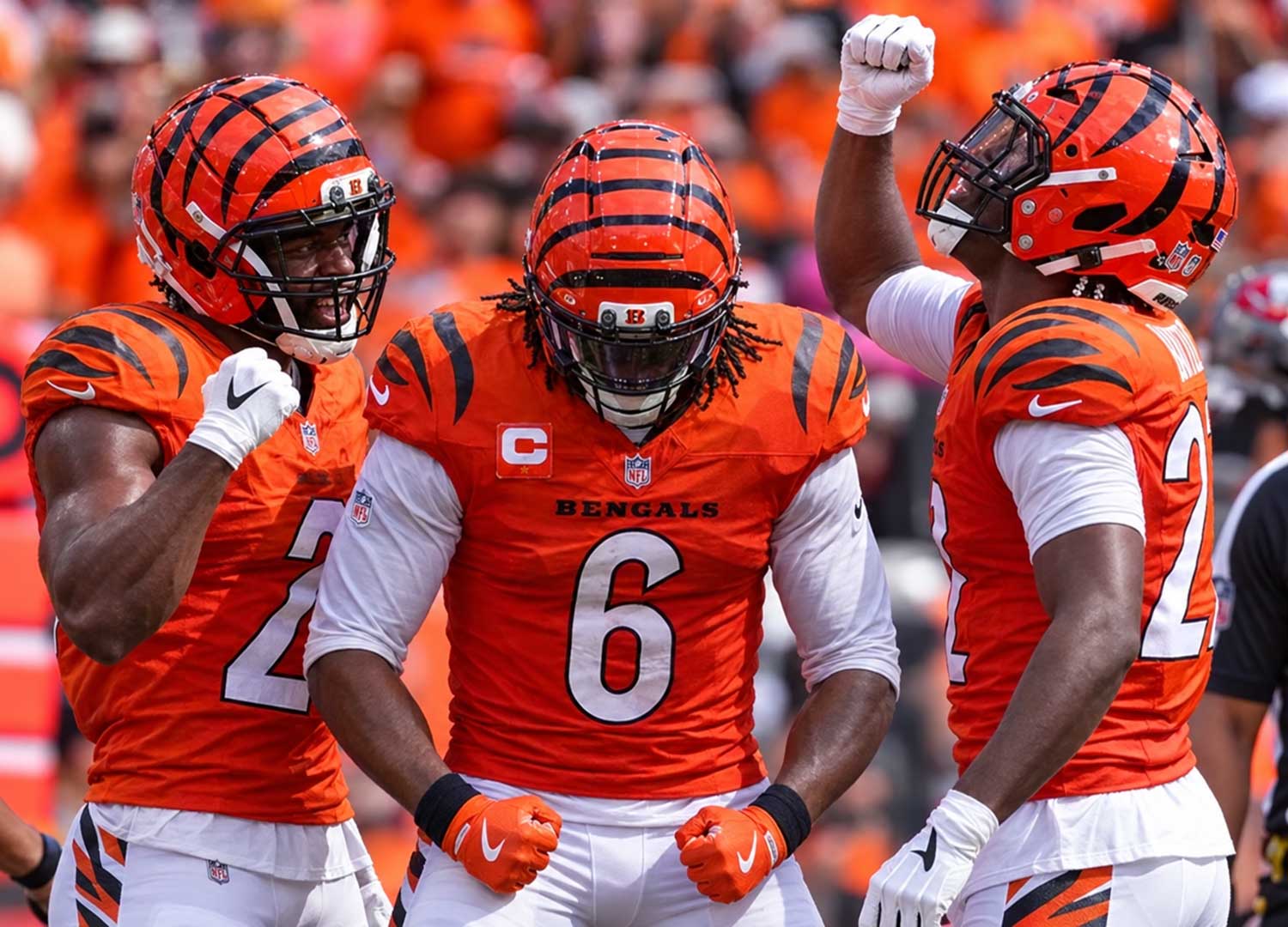 Bengals defensive rebuild celebrates a turnover during Cincinnati’s win over Tampa Bay.