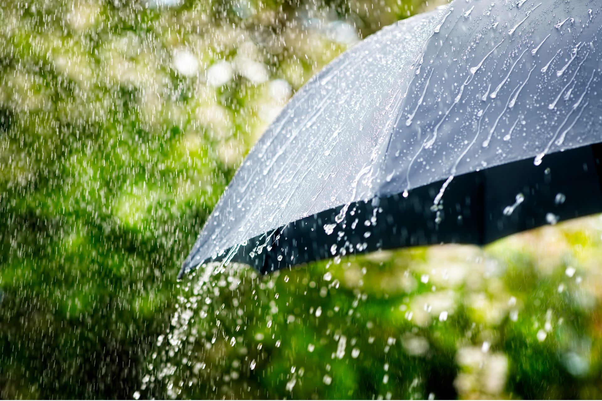 Close-up of a black umbrella shedding heavy rain drops against a blurred green background.