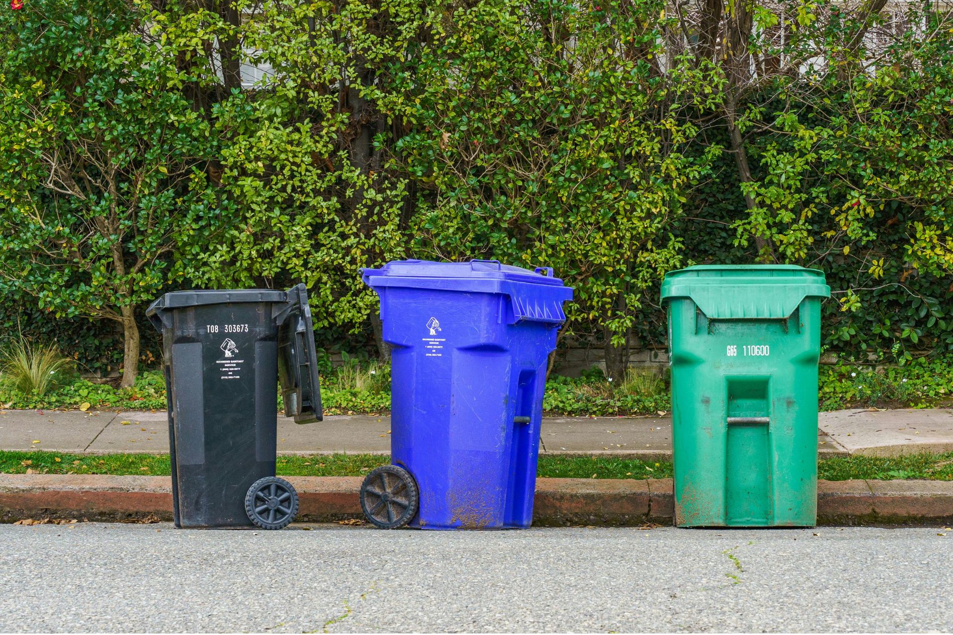 Black, blue, and green plastic trash and recycling bins lined up along the asphalt curb of a residential street.