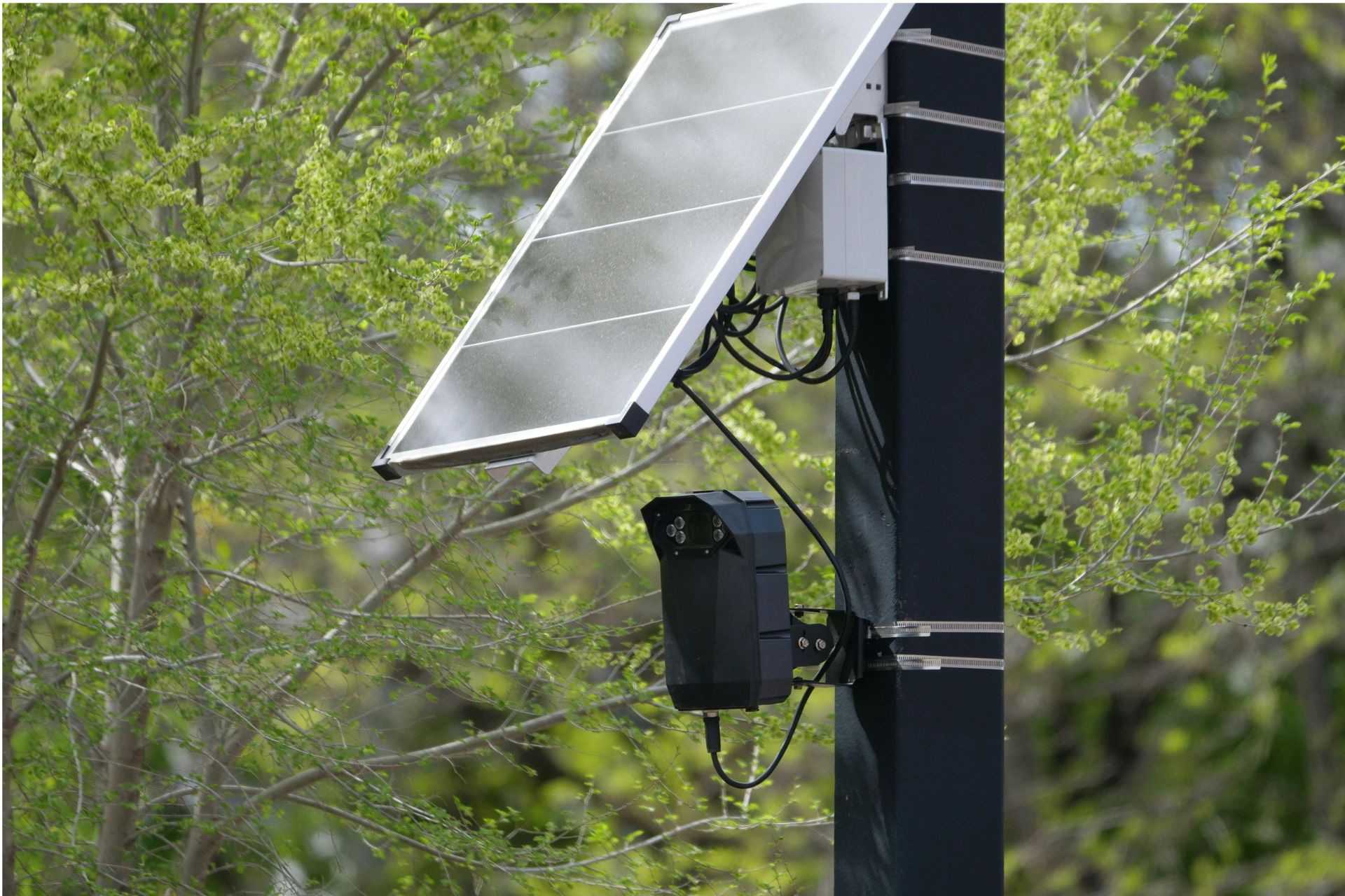 A black Flock Safety surveillance camera and solar panel mounted on a pole against a background of green leaves.