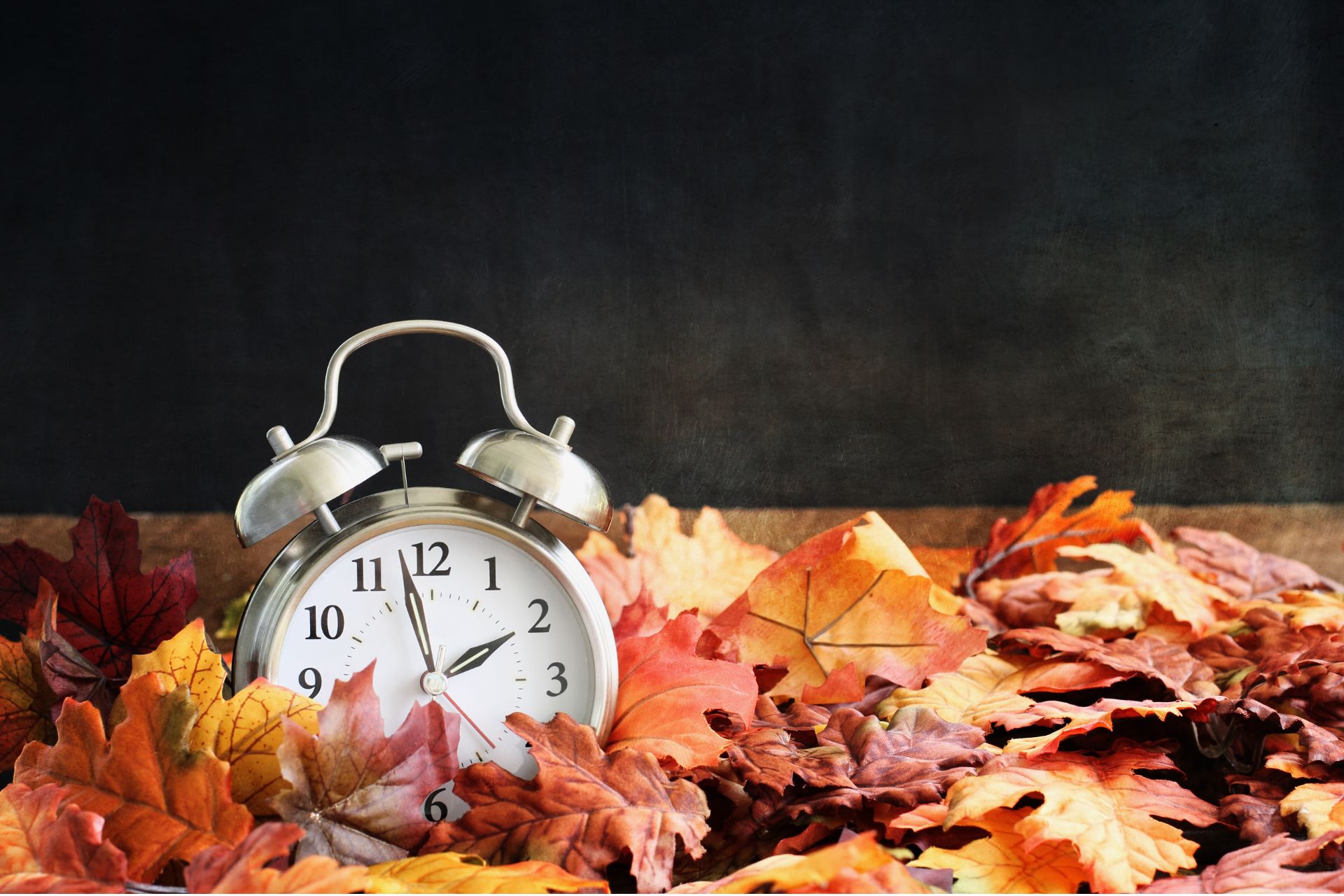 An alarm clock sits in a pile of colorful autumn leaves against a dark background.