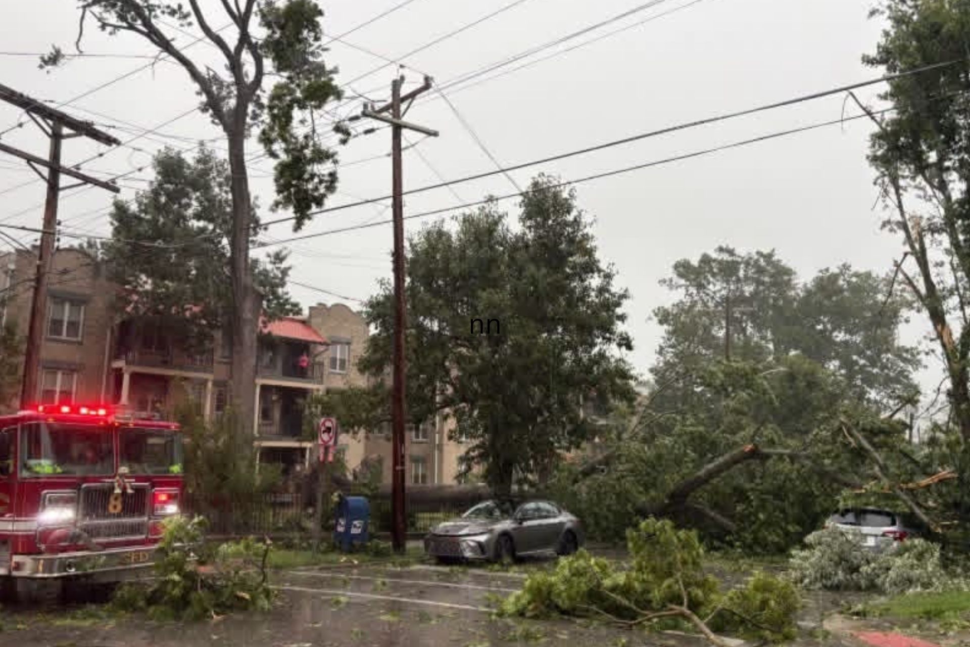 Fallen tree limbs blocking a Cincinnati street after a storm, with an emergency vehicle and damaged utility lines nearby